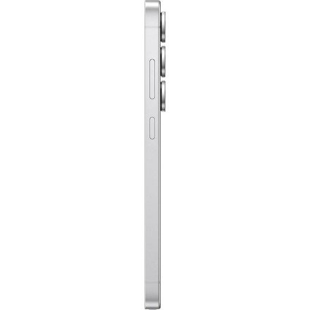 Смартфон Samsung Galaxy S25 Ultra 12/256GB серебряный титан
